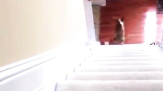 #FUNNY VIDEOS. Try not to laugh.28.This was an epic fail in the best way!