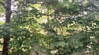 "Echoes of the Wilderness: The Soul of Nature"