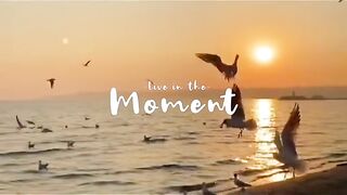 Nature beautiful 3
