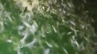 Jika ingin ikan lele cepat besar, jangan malas ngasih makan malam