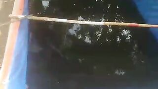 Kolam untuk SORTIR dan PENAMPUNGAN bibit  lele, jika ada pembeli kita bisa GERCEP melayani