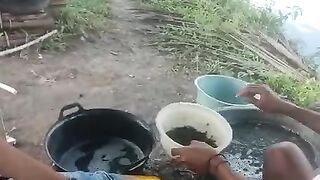 Sampling bibit lele ukuran 2-3cm❗1kg isi berapa ekor bibit lele ukuran 2-3cm❓Yang tau silahkan komen ya