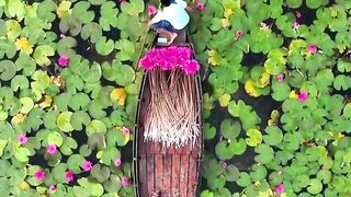 Beautiful Bangladeshi nature #nature #beautifulasia