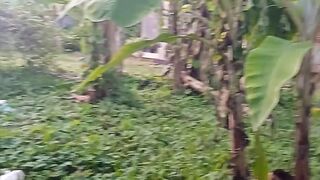 Suasana kehidupan di kampung atau pedessaan