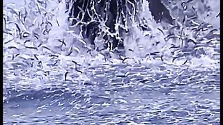 AMAZING????????????