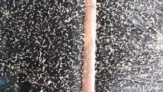 Pertajam penglihatan kalian untuk melihat larva lele yang baru menetas dari telurnya