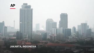 Pope likely to put environment high on the agenda during Jakarta visit