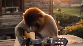 Monkey#Guitar