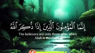 Very Emotional QURAN Recitation 4