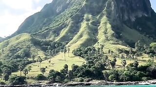 Mules island