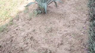 Nice garden