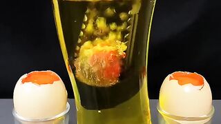 Experiment in egg