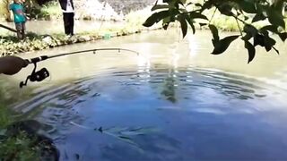 mancing mania