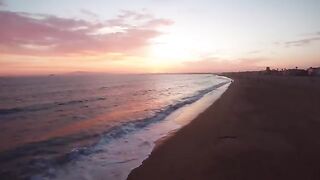 Nova Miller & Bankrol Hayden - apricot skies [Official Video]