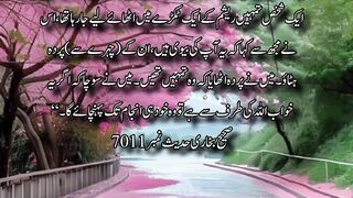 Hadees e Nabvi 7