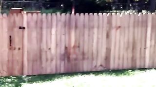 New funny video 47