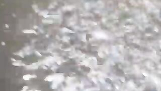 Jika kita lempar pakan kekolam lele langsung seperti ini, berarti kita sudah benar ngurus airnya