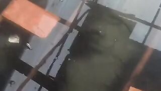 Rahasia cara ngurus indukan lele yang saya ajarkan ke mitra ternyata manjur