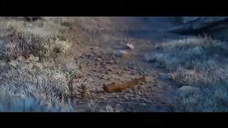 Kids animated cartoon . Spring