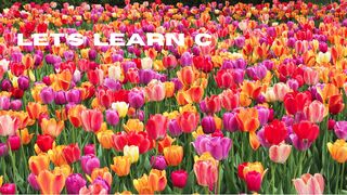 Let’s learn Counting