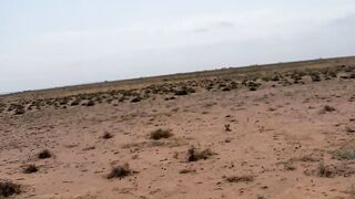 My region in somaliland