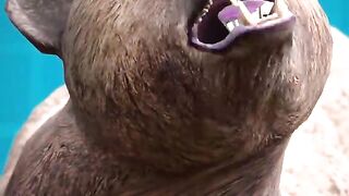 Grizzly Bear Jaw Strength ????