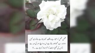 Golden Words In Urdu | Quotes About Allah In Urdu |  Quotes By Rahe Haq Quotes