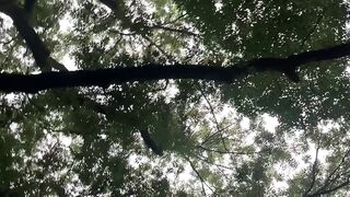 Green space and nature