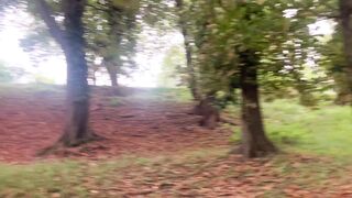In the woods