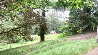"Into the Woods: A Journey Through Nature's Calm"
