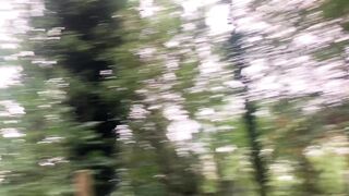 "Forest Echoes: Discovering the Peaceful Harmony of the Woods"