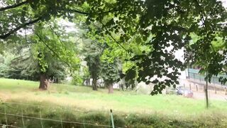 "Tranquil Woods: Exploring the Stillness of Nature's Sanctuary"