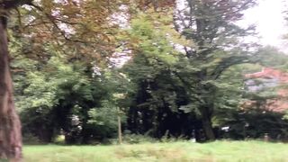 "Forest Serenity: Embracing the Calm of the Woodland Realm"