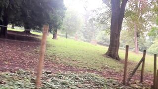 "Whispers of the Woodland: Finding Peace in Nature’s Embrace"