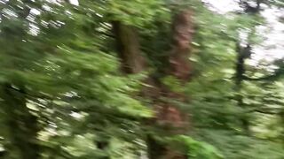 **"Nature's Sanctuary: Exploring the Tranquil Outdoors"**