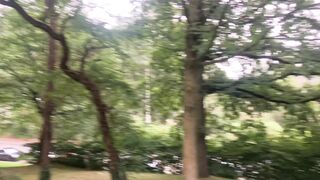 **"Serene Landscapes: Immersing in Nature's Tranquility"**