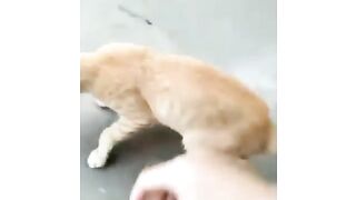 Shift malem langsung masuk pagi ~~