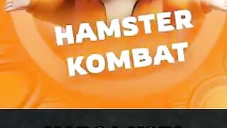 Free airdrop Hamster kombat token