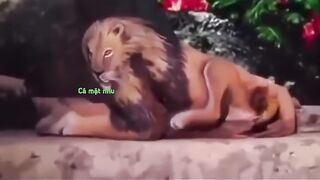 Ảo ma canada(720P_HD).