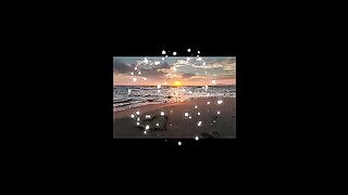 I wanna dance tonight On the sand SONG 2024