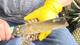 Pineapple 4
