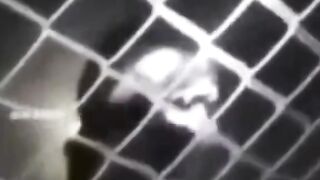 FUNNY VIDEO 31