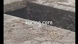 CAT CORE