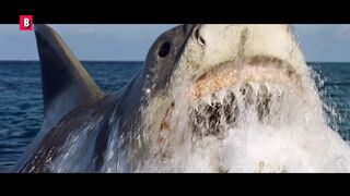 The Best Shark Attacks from Jaws_ The Revenge ???? 4K