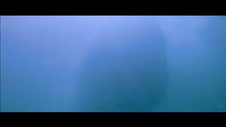 The Shark in Jaws 2