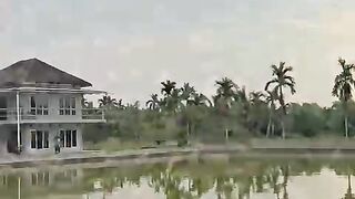 Budidaya ikan nila hulu hilir, pembenihan ikan lele, pendederan ikan nila, dan pembesaran ikan nila