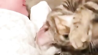 Funny Baby Videos playing #baby #love