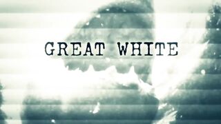18-Foot Shark Attacks Cage | Great White Serial Killer