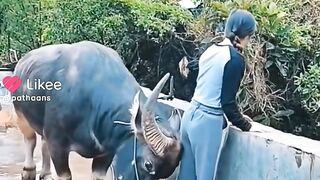 Amazing funny fun 2