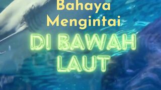 Hati Hati Ada Hiu Pemangsa
